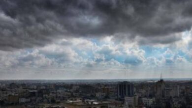 Cloudy and cold weather tomorrow in these areas - New Algeria