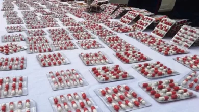 The National Gendarmerie seizes more than (22,100) Pregabalin in Biskra - New Algeria