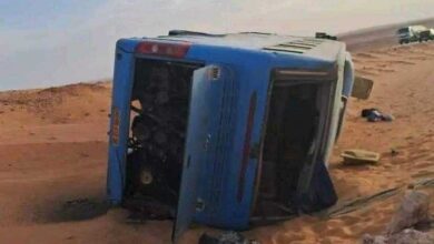 16 children were injured in a traffic accident in Tamanrasset - New Algeria