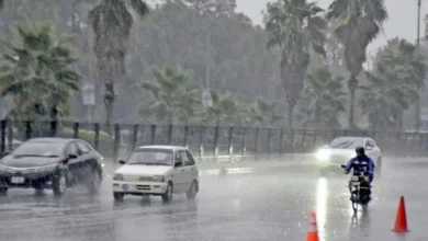 Find out the weather forecast for Monday - New Algeria