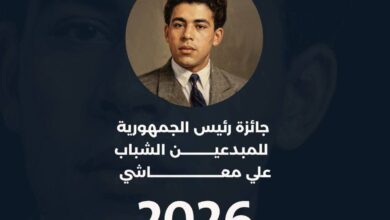 Prix ​​présidentiel des jeunes innovateurs, Ali Maashi