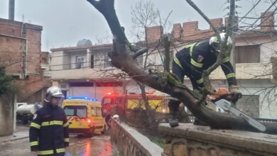 La Protection Civile a enregistré 530 interventions en raison des fluctuations météorologiques