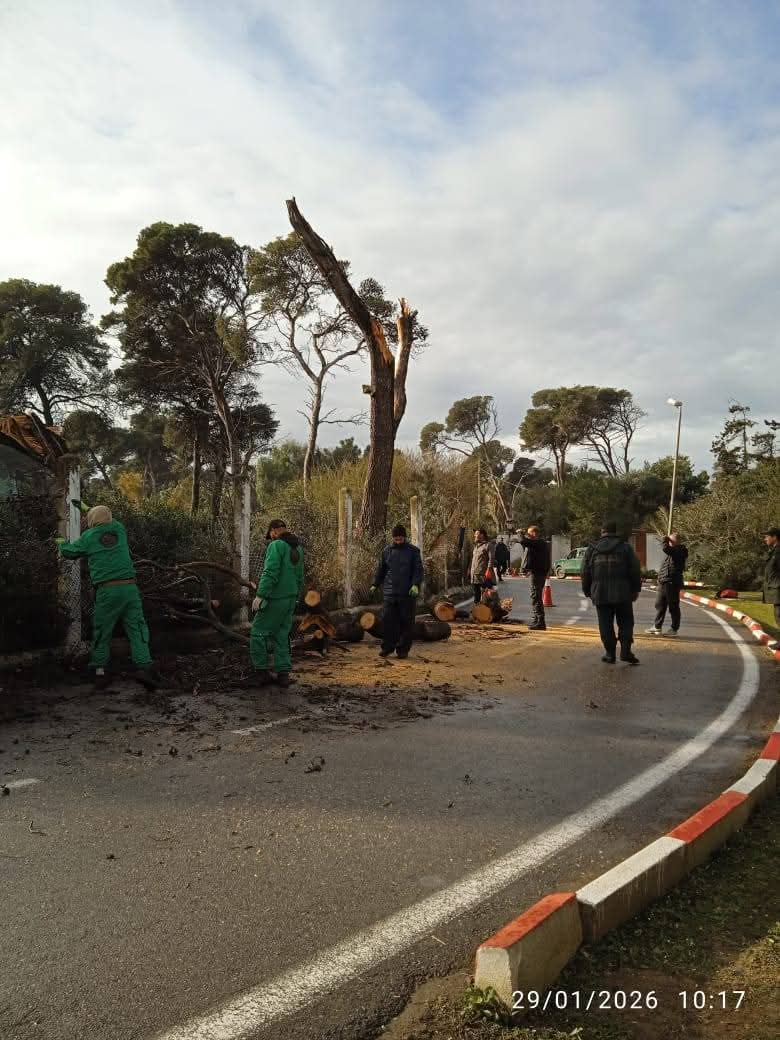 La Direction des Forêts lance un appel aux citoyens... Détails !!