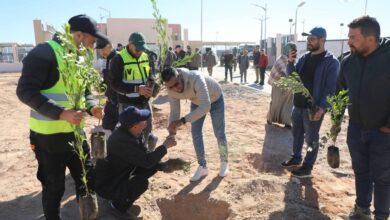 Campagne de reboisement le long de la voie ferrée Bashar-Ghar Jbeilat