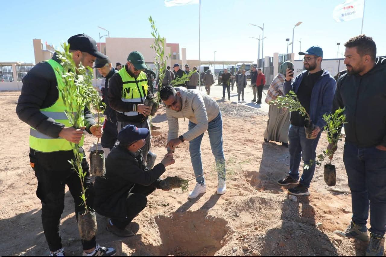 Campagne de reboisement le long de la voie ferrée Bashar-Ghar Jbeilat