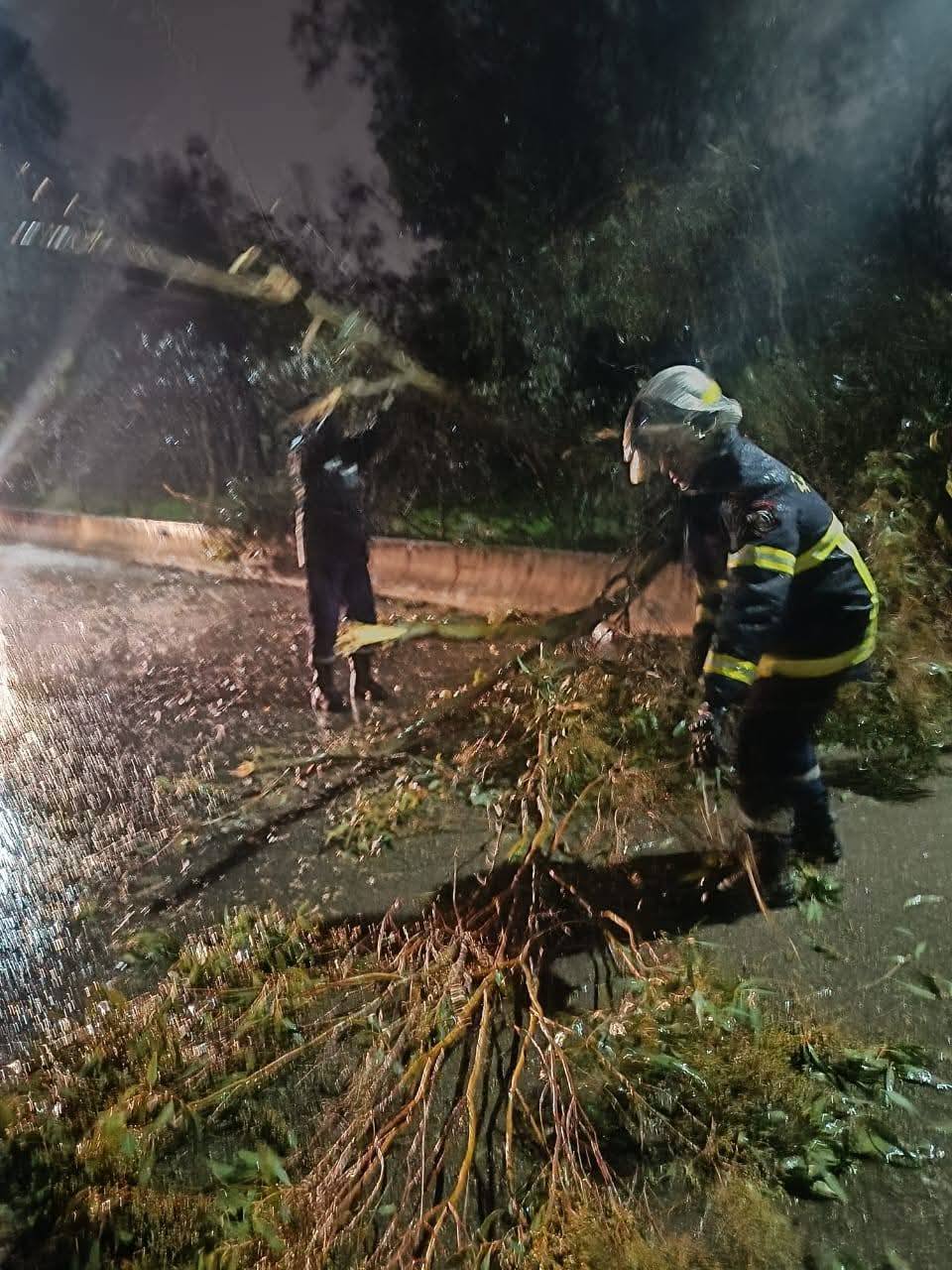 Fluctuations météorologiques : chutes d'arbres, poteaux électriques et effondrements dans plusieurs États
