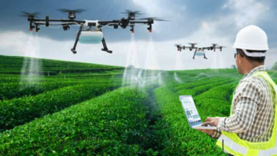 Hamrouni: La culture de 3 millions d'hectares est un pas souverain vers l'indépendance alimentaire