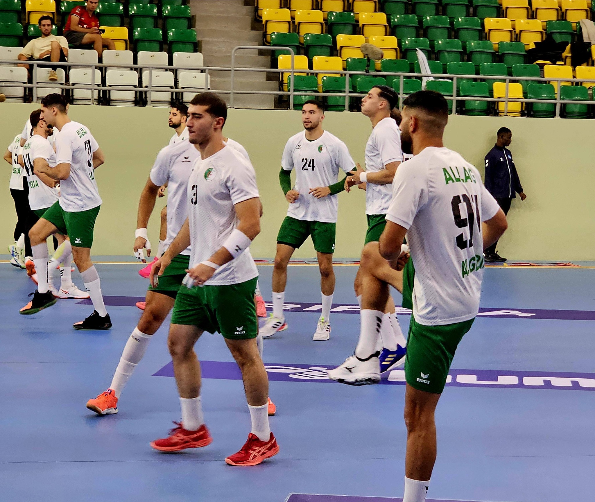 Handball...une lutte algéro-égyptienne pour accéder au carré d'or