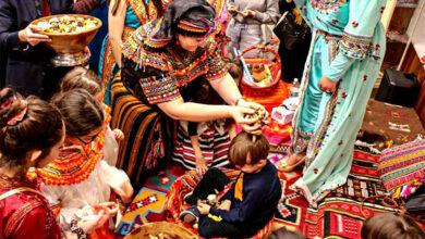 "Janvier"... Renforcer l'identité nationale et repousser les complots étrangers