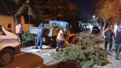 L'Etat d'Alger... prolonge la procédure de fermeture des parcs et des zones forestières