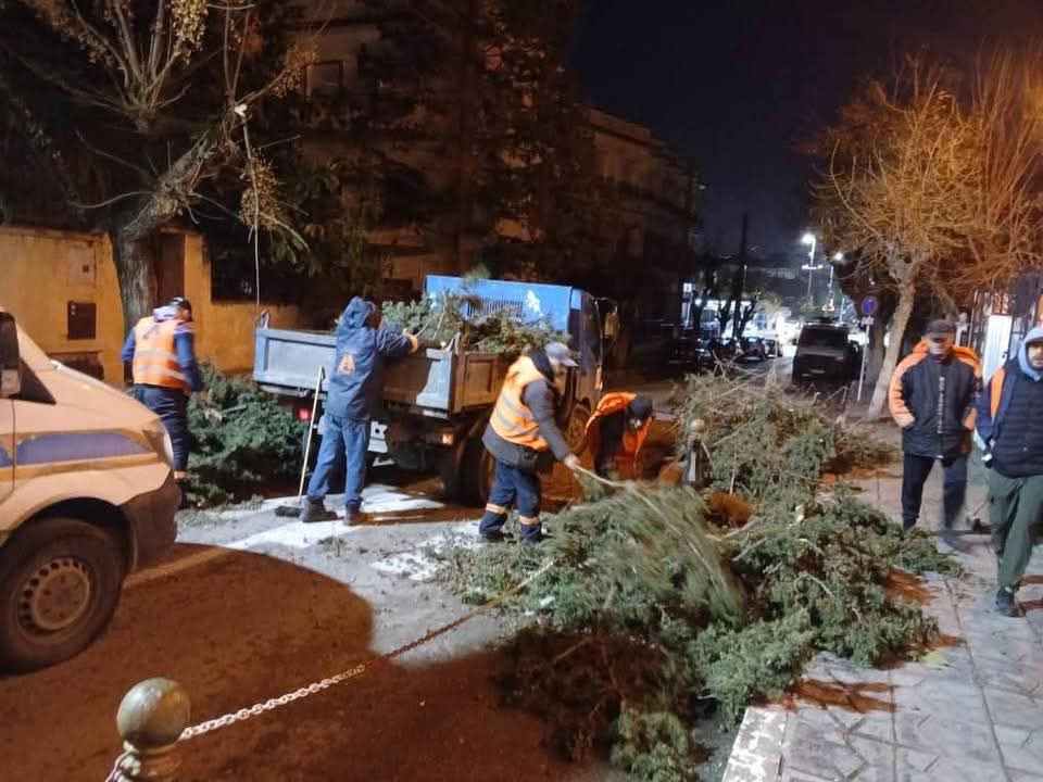 L'Etat d'Alger... prolonge la procédure de fermeture des parcs et des zones forestières