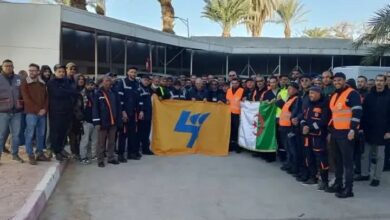 Sonelgaz.. une opération volontariste pour entretenir le réseau électrique du sud