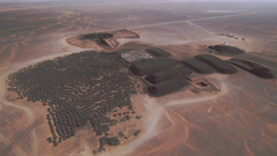 Une délégation gouvernementale en visite de travail à Tindouf
