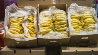 Une hausse injustifiée des prix des bananes sur les marchés