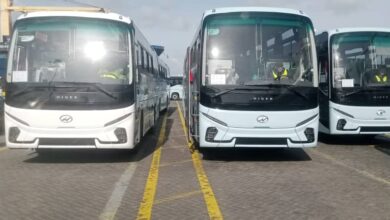 134 nouveaux bus arrivent au port d'Alger
