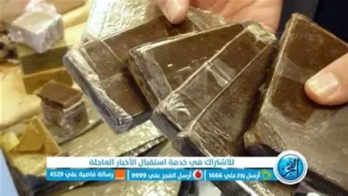 80 kg de kif marocain saisis à Naama