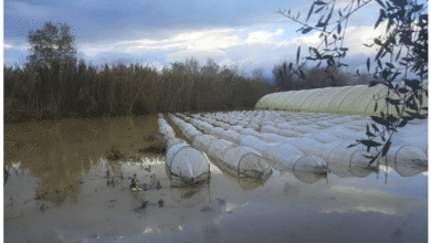 Début d'un recensement des agriculteurs touchés par les fluctuations climatiques