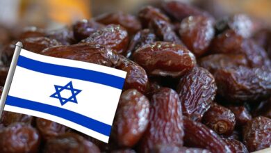 Des dates sionistes sous le nom de « Made in Algérie » en France