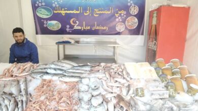 Ouverture de 390 points de vente de produits de la pêche maritime. Apprenez à les connaître !