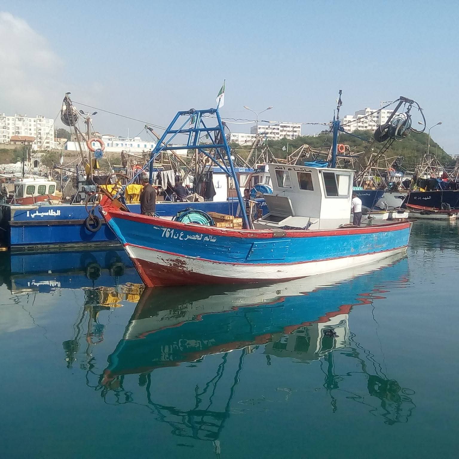 Pêche maritime… créer un fonds national pour indemniser les marins