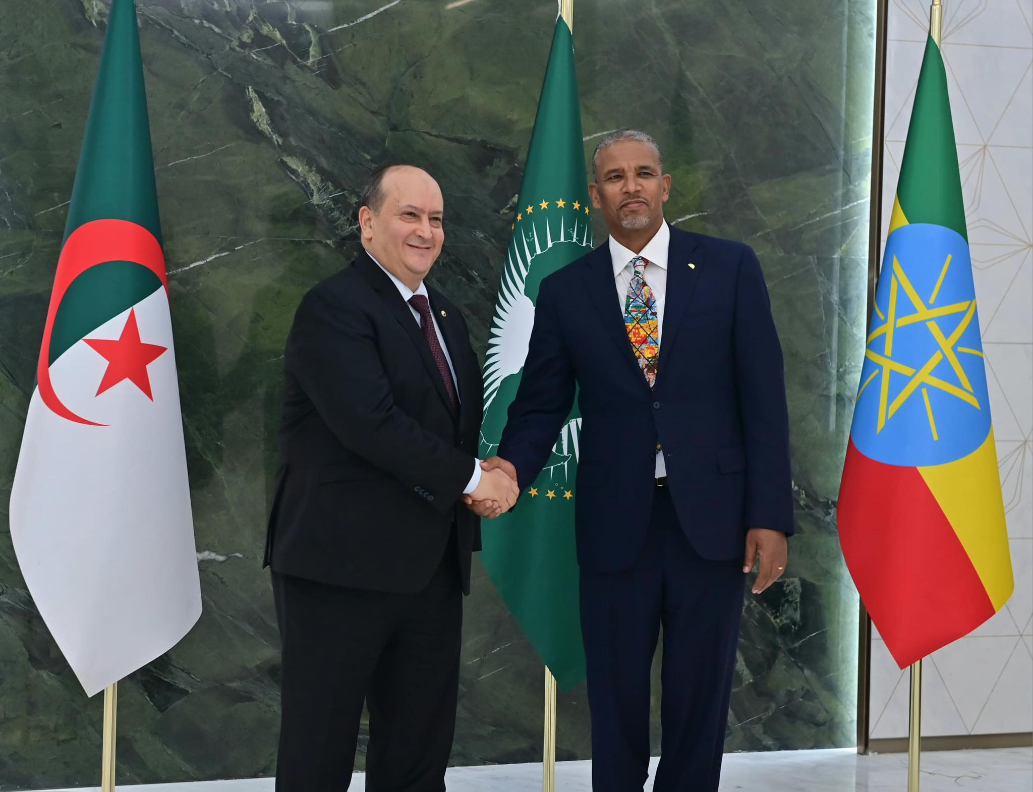 Seifi participe au Sommet de l'Union africaine et au Sommet Afrique-Italie à Addis-Abeba