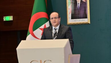 Seifi souligne le rôle de l'Algérie dans la promotion de l'intégration africaine