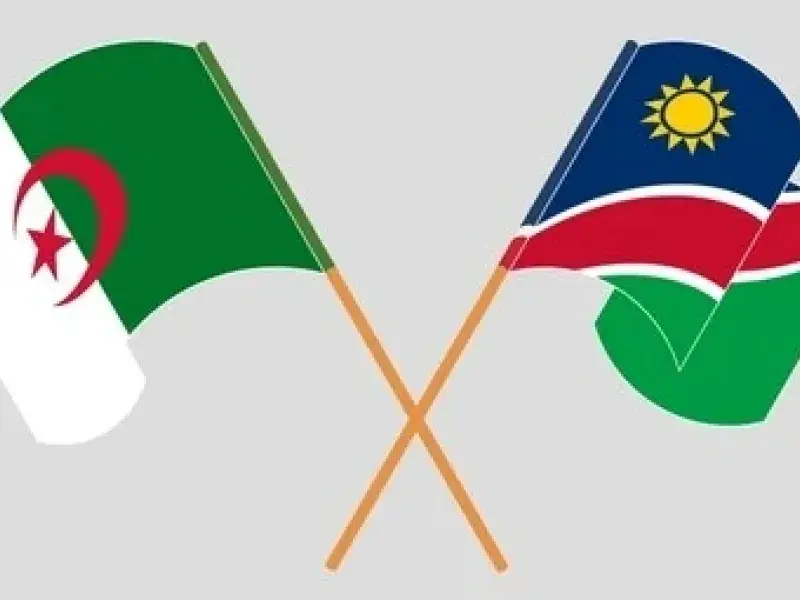 Une délégation namibienne de haut niveau se rend en Algérie pour renforcer la coopération énergétique