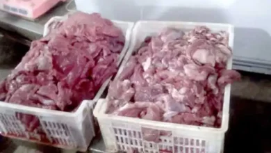 Environ 3 quintaux de poulets et de viandes pourris ont été saisis à Béjaia