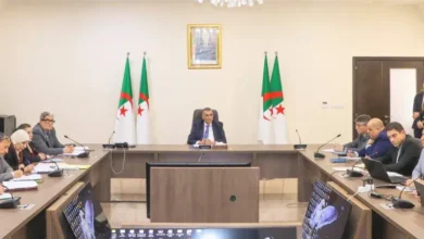 Une réunion ministérielle pour le suivi du projet ferroviaire Laghouat-Ghardaia-Mneaa
