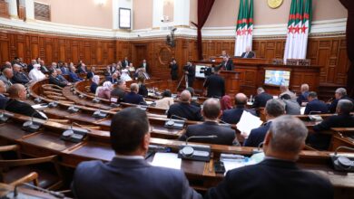 Approbation du texte de la loi organique relative aux partis politiques