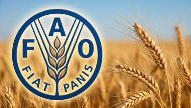 FAO : La guerre en Iran fait monter les prix alimentaires mondiaux